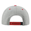 INDYCAR Revered 3D Flatbill Snapback in grey and red, back view