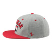 INDYCAR Revered 3D Flatbill Snapback in grey and red, side view