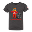 Toddler INDYCAR Firestone Fire Hawk T-Shirt in grey, front view